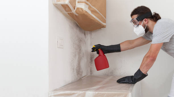 Professional Commercial Mold Remediation technician working in Lyndhurst, VA