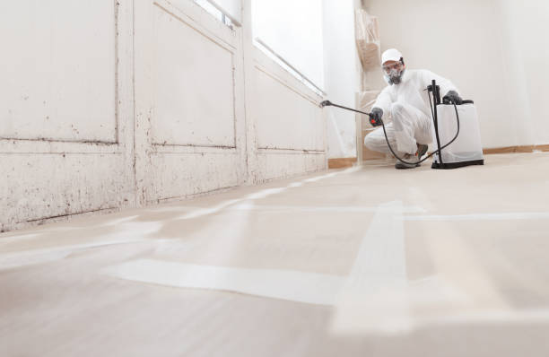 24/7 Emergency Commercial Mold Remediation experts in Lyndhurst, VA